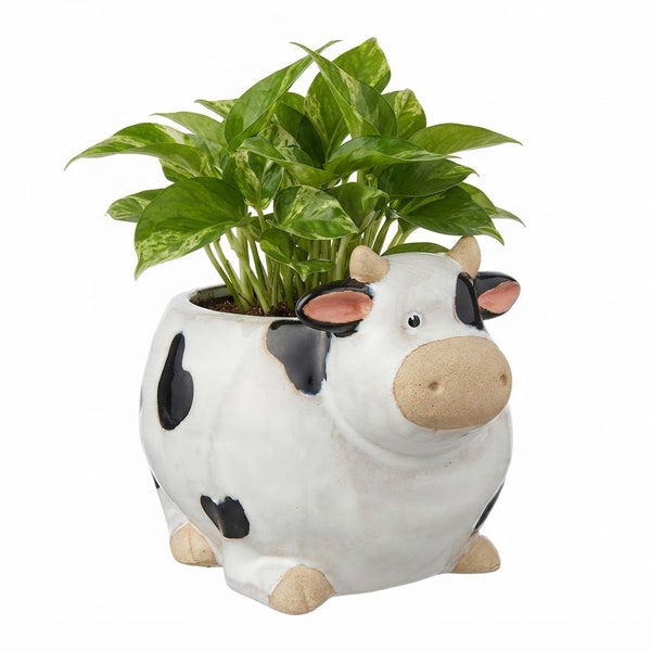 Daisy Cow Pot