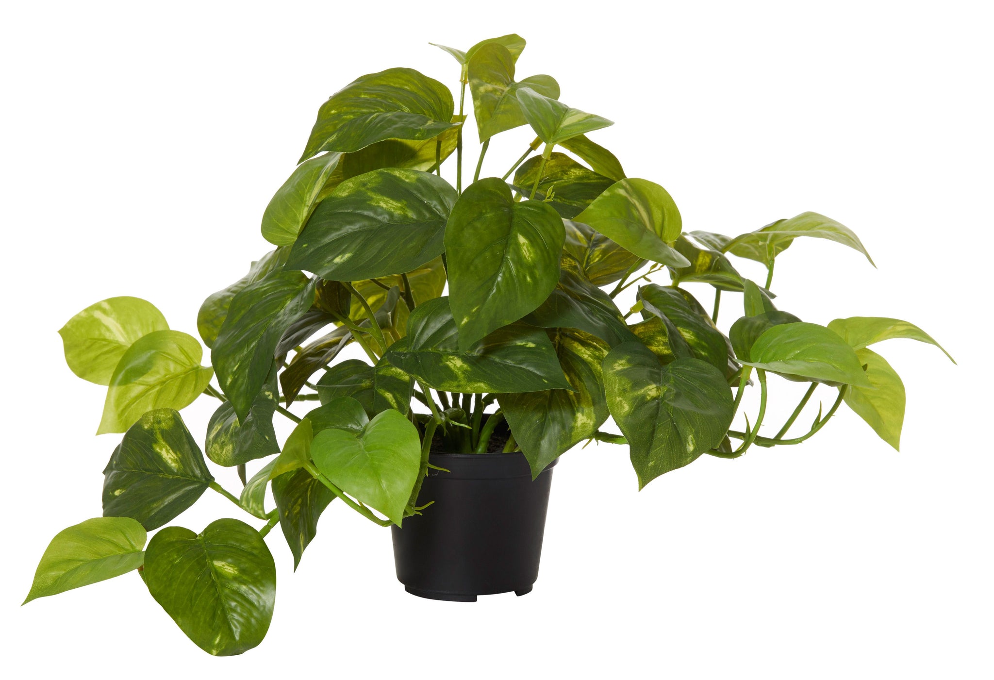 Artificial Potho Plant