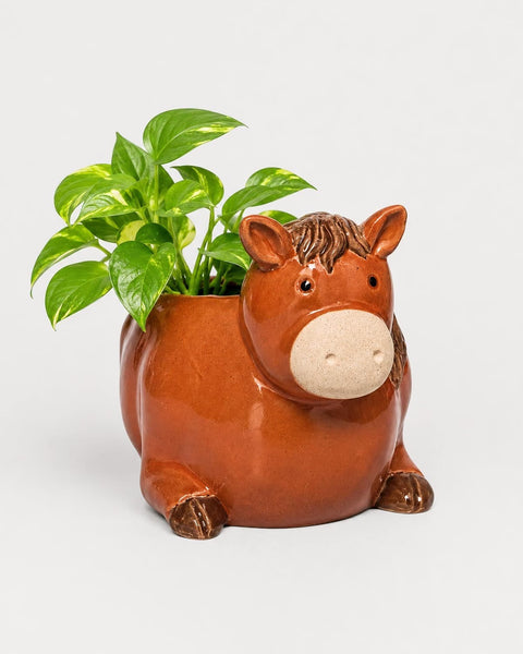 Horse Pot