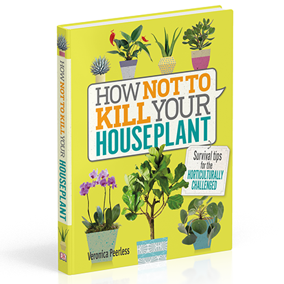 How Not To Kill Your Houseplant By Veronica Peerless