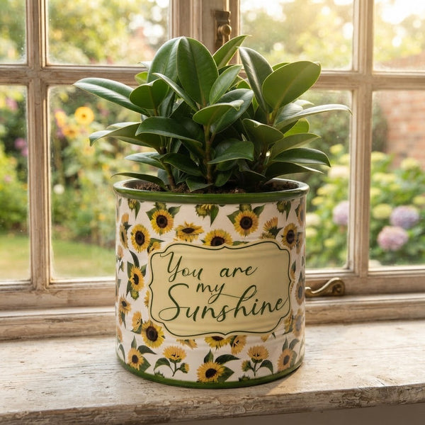 My Sunshine Sunflower Pot