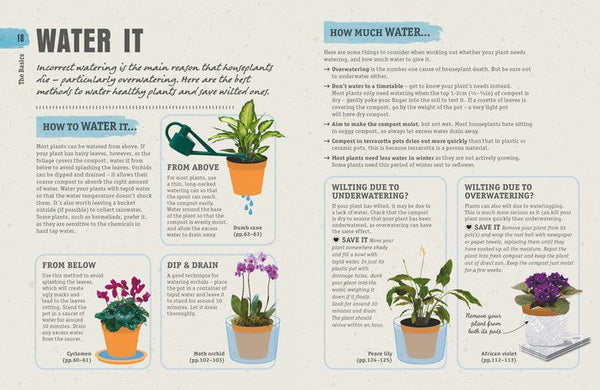 How Not To Kill Your Houseplant By Veronica Peerless