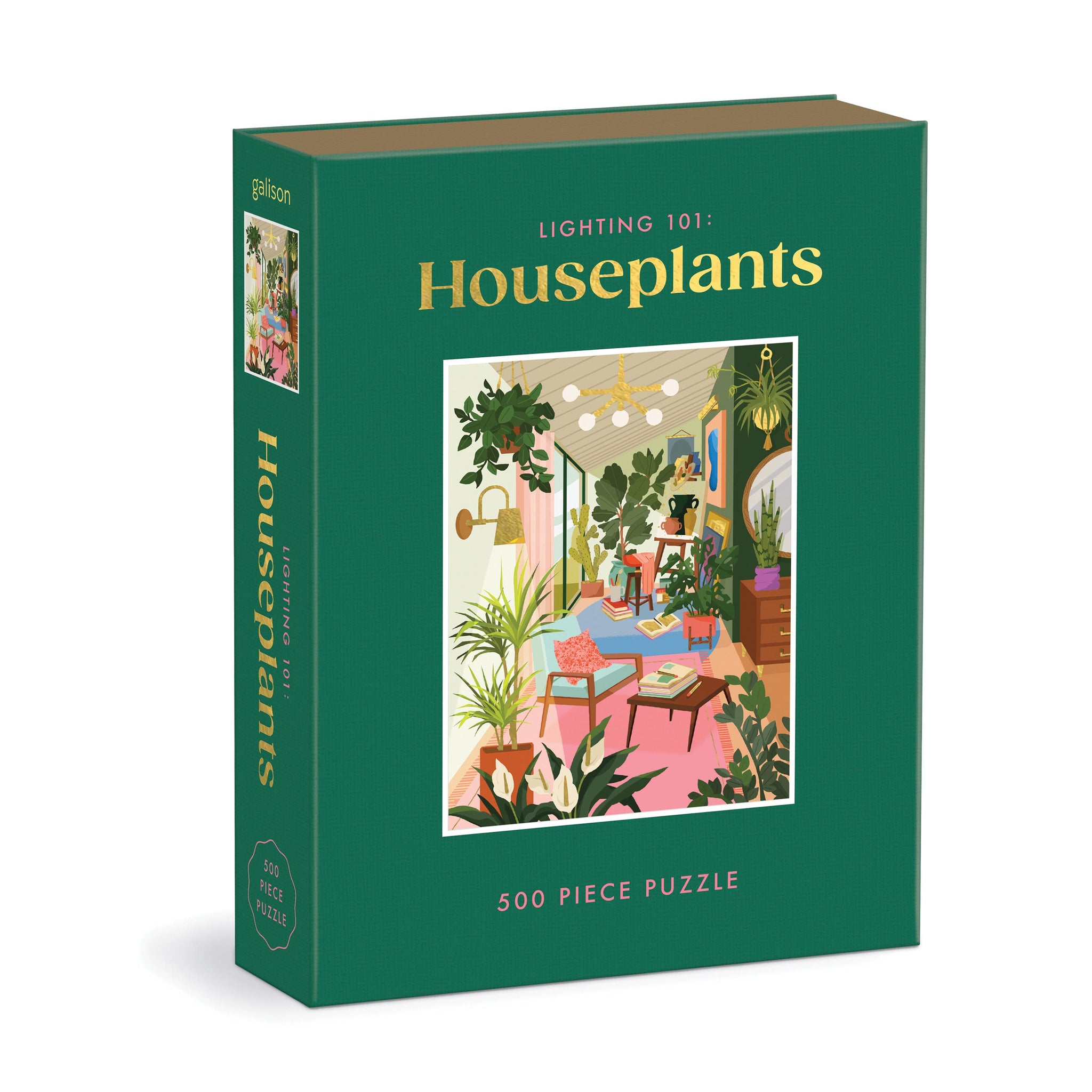 Lighting 101: Houseplants - Book Puzzle
