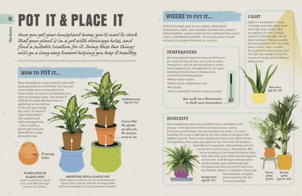 How Not To Kill Your Houseplant By Veronica Peerless