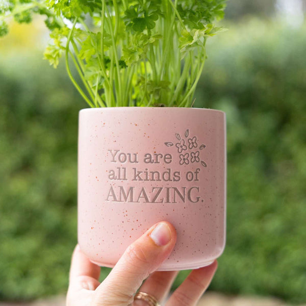Amazing Positive Pot