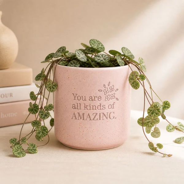 Amazing Positive Pot