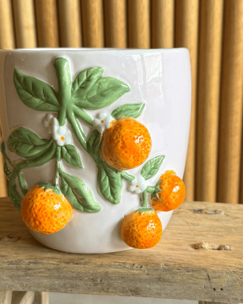 Oranges Pot