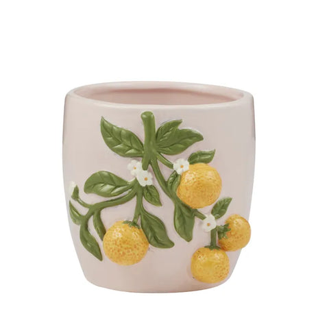 Oranges Pot