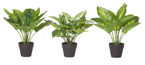 Artificial Indoor Plants