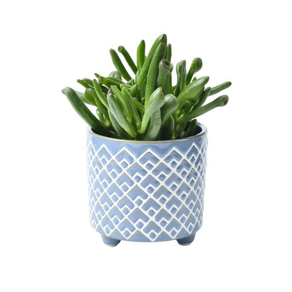 Burgon & Ball Small Bilbao Pot