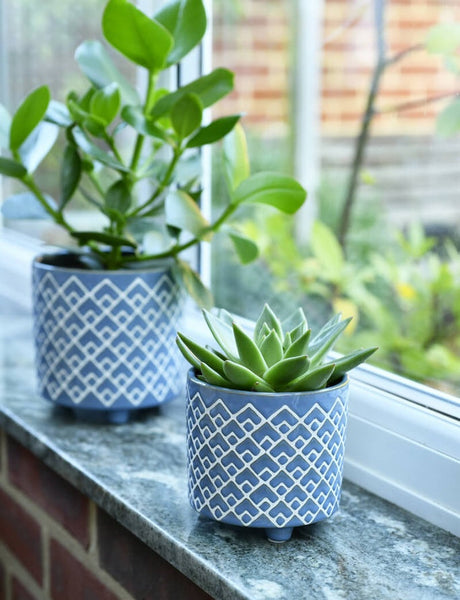 Burgon & Ball Small Bilbao Pot