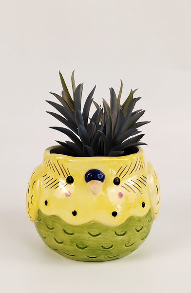 Budgie Bird Pot