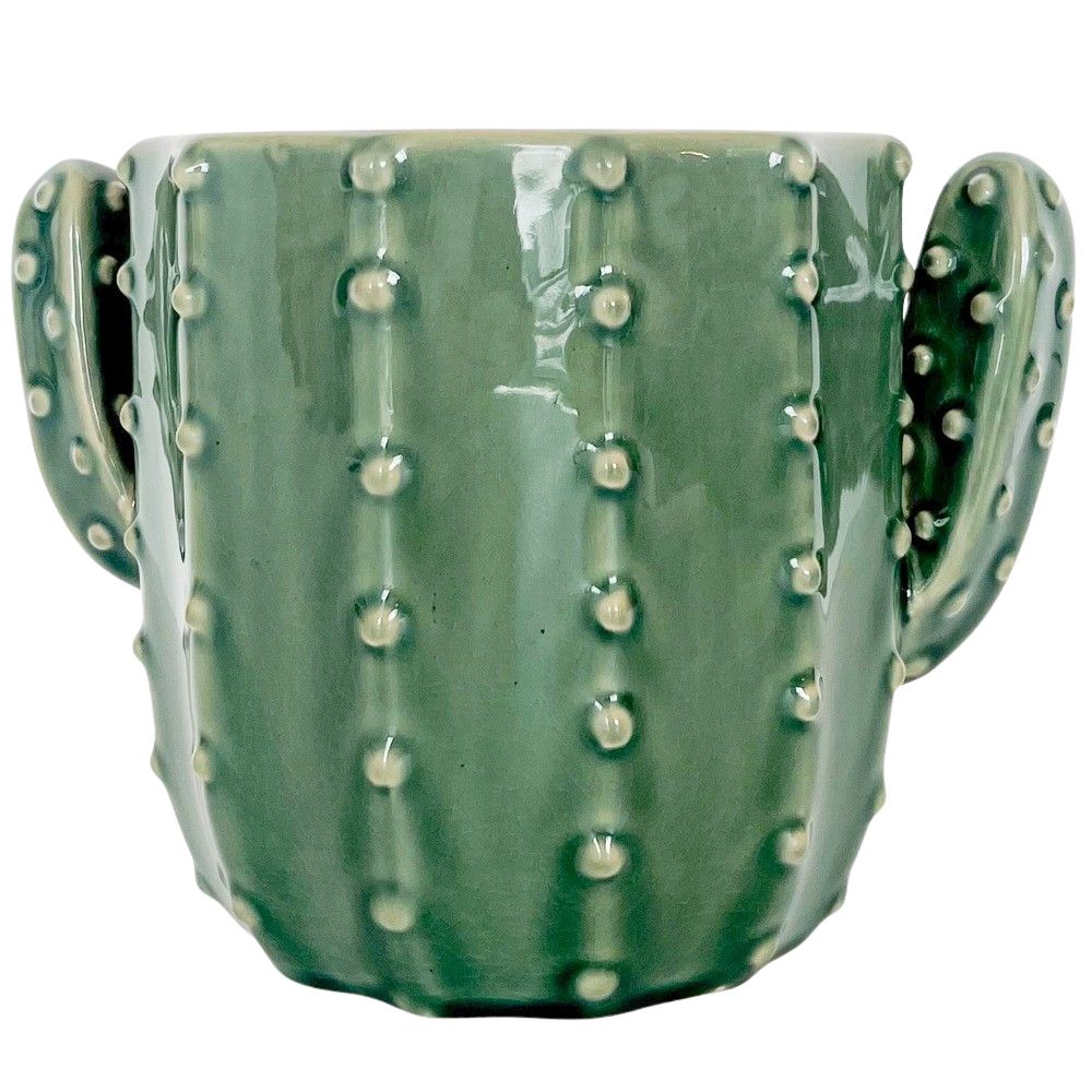 Cactus Pot