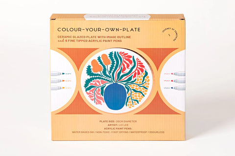 Paint Your Own Ceramic Plate Kit | Journey of Something
