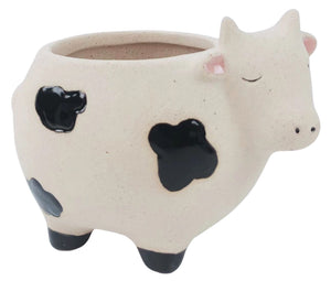 Mini Cow Pot