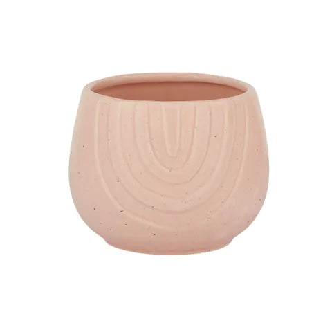 Curvation Pot