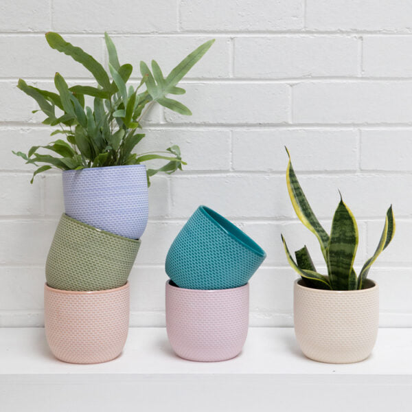 Dillon Pot | Pink