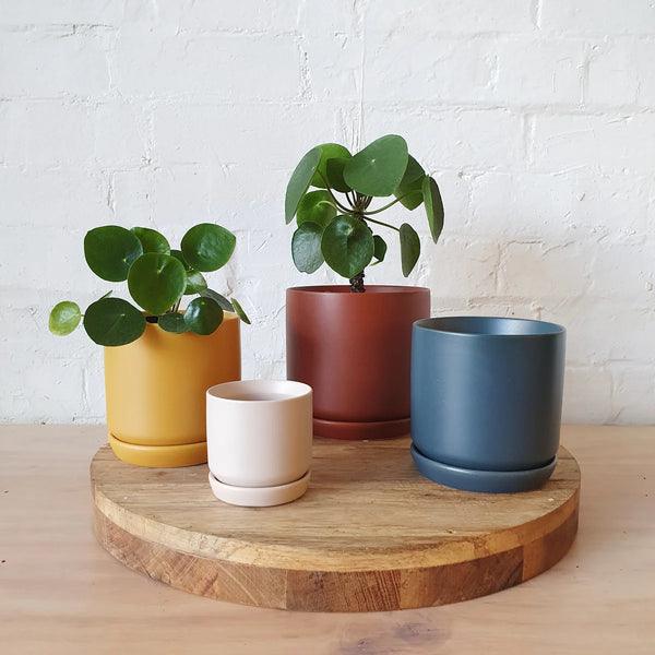 Navy Oslo Pot | Small