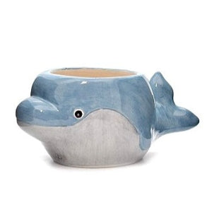 Dolphin Pot