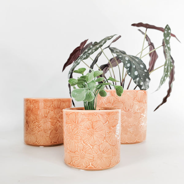 Etched Flower Pot | Small