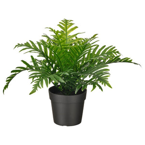 Artificial Fern Plant