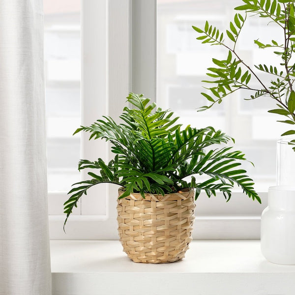 Artificial Fern Plant