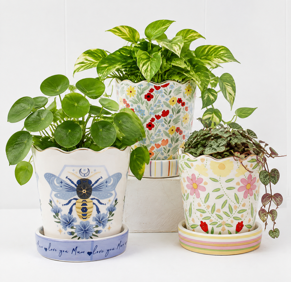 Cottage Pot with Saucer