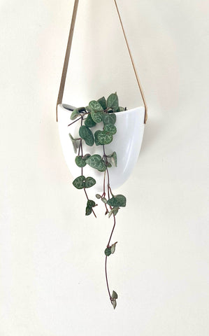 Hanging Chain of Hearts Planter (PREORDER)