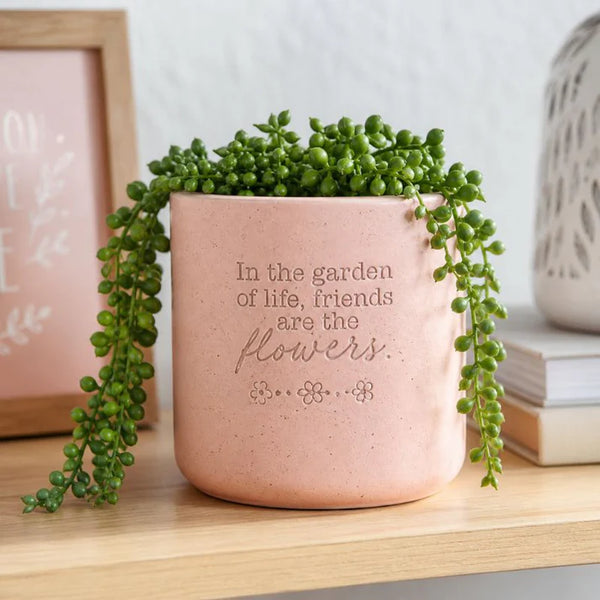 Friends Positive Pot