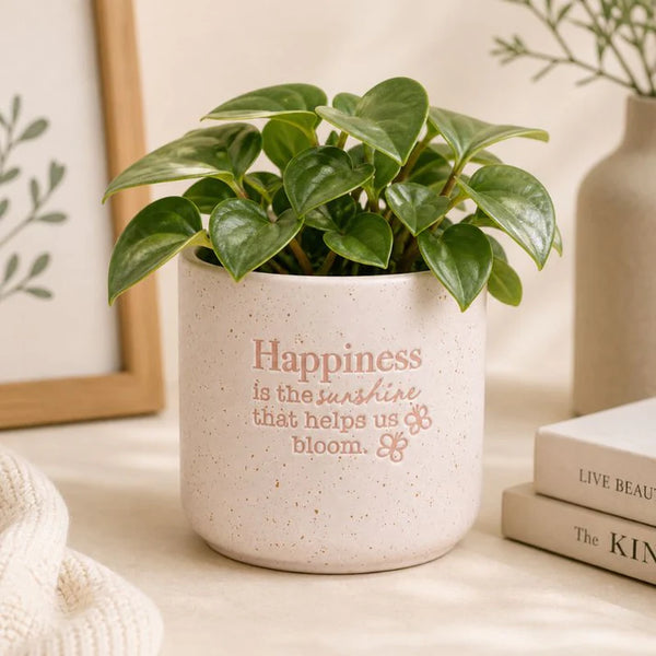 Happiness Positive Pot