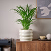 Large Ribbed Pot