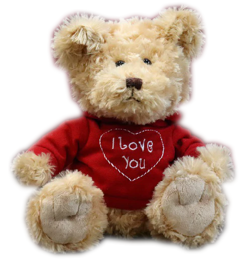 I Love You Bear