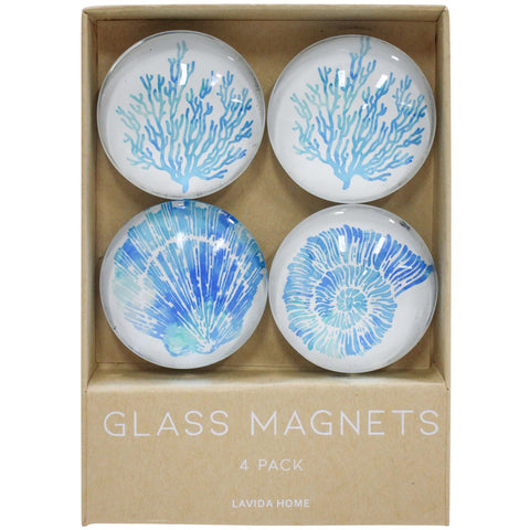 Shell Large Glass Magnet Set