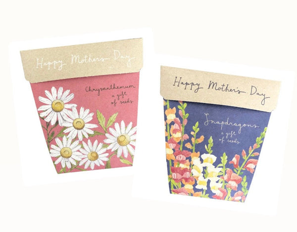 Mother's Day Chrysanthemums Gift of Seeds Card | Sow n Sow