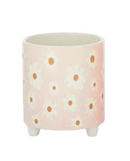 Maytime Daisy Pot
