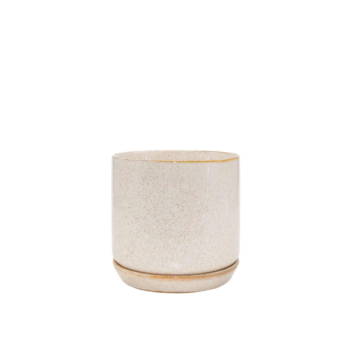 Sandstorm Oslo Pot
