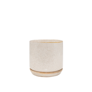 Sandstorm Oslo Pot