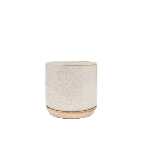 Sandstorm Oslo Pot