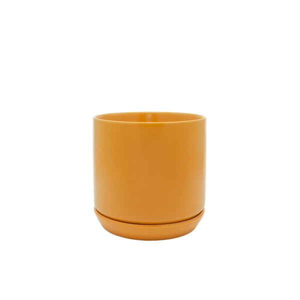 Mustard Oslo Pot