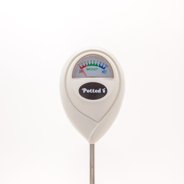 Indoor Moisture Meter