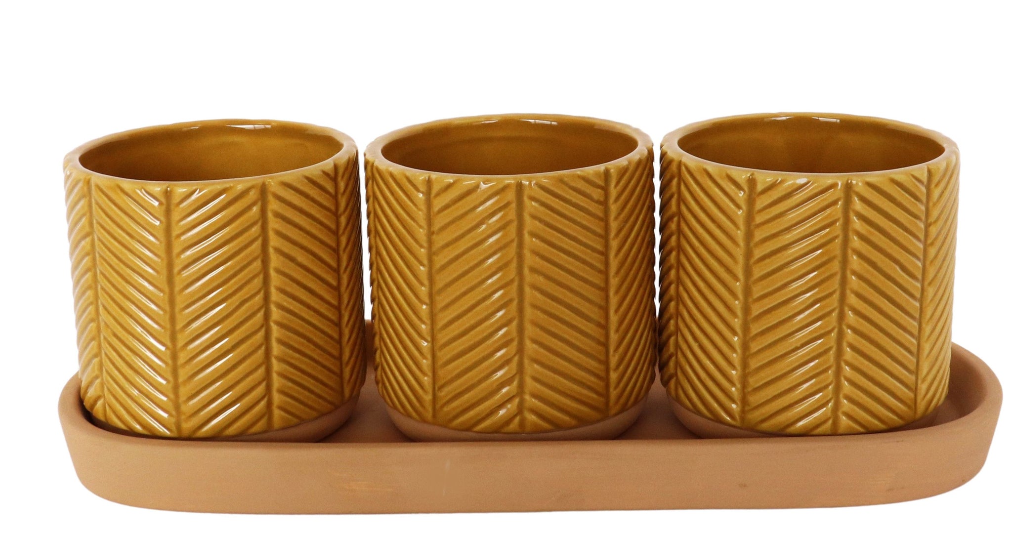 Mustard Zari Pots on Saucer