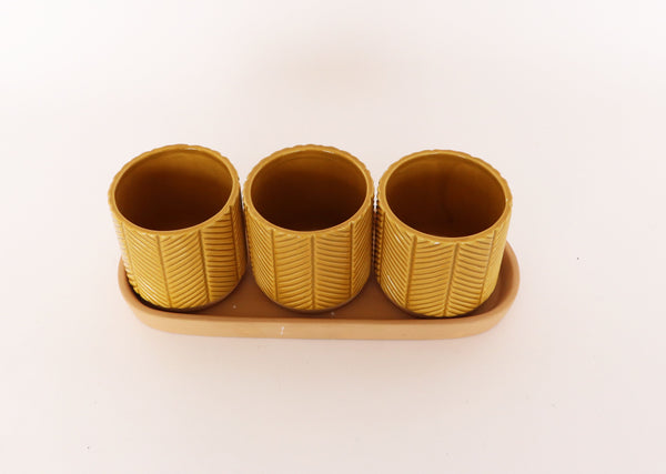 Mustard Zari Pots on Saucer
