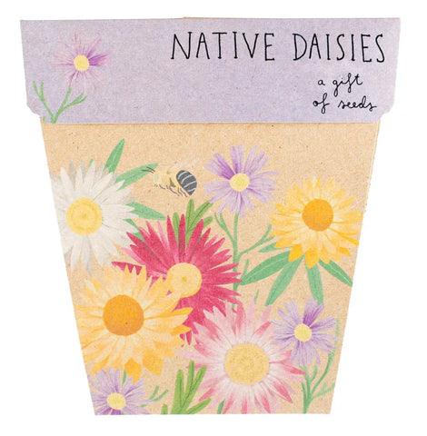 Native Daisy Gift of Seeds Card | Sow N Sow