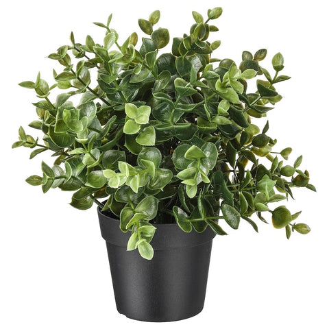 Artificial Oregano Plant