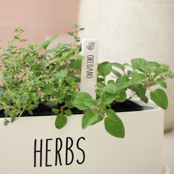 Oregano Herb Label