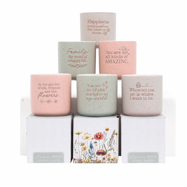 Amazing Positive Pot