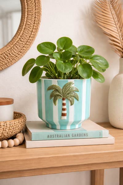 Palm Pot