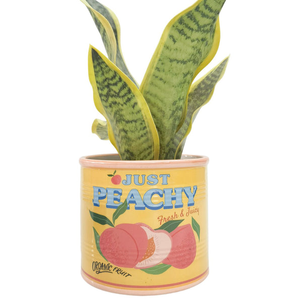 Just Peachy Pot