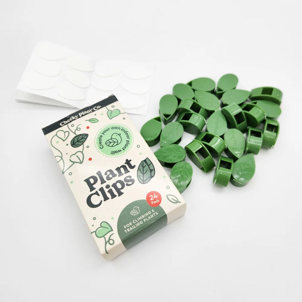 Plant Wall Clips 24pk