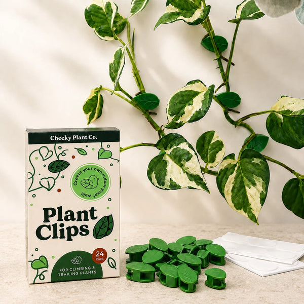 Plant Wall Clips 24pk